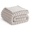 RUIKASI Fleece Throw Blanket for Sofa - Single Fluffy Beige
