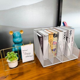 RHONZHAO 2 Set Desk Organizers, Metal Desk Magazine File Holder and 1 Pen Holder, 2 Compartments Mesh File Holder, Mesh Desktop Organizer and Storage (white)