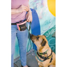 OllyDog Mountain Leash, Heavy Duty Rope Dog Leash with Carabiner, 75 inches, Soft Padded Handle, Ideal Everyday Use for Active Dogs (Spruce)