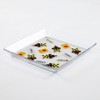 clear plate crossing