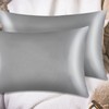 2 Pack Silk Pillowcases for Hair and Skin, Satin Pillow