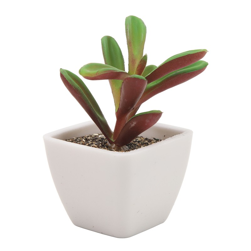 6PCS Potted Artificial Succulents Artificial Plants in Pots Plastic Fake