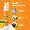 FreshSpritz Waterless Foaming Dog Shampoo with Aloe, No-Rinse Pet Wash