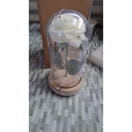 Unbranded Eternal Rose Flower LED Enchanted Galaxy Rose LED Light Valentine's Gift