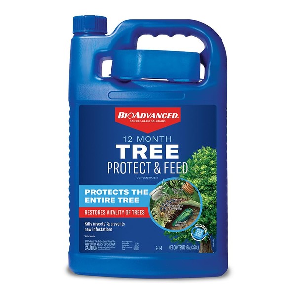 BioAdvanced 12 Month Tree Protect & Feed Concentrate II, 1