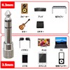Fuji Parts Stereo Mini Plug to Stereo Standard Plug Conversion