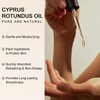 ISHERBIN Cyperus Rotundus Oil, Cyperus Rotundus Oil For Hair Removal,