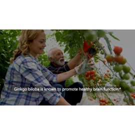 Herbal Roots Ginkgo Biloba Made with Pure Organic Ginkgo Leaf - 1,400mg