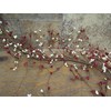 Gorgeous Primitive 55" Cream and RED Pip Rice Berry Garland