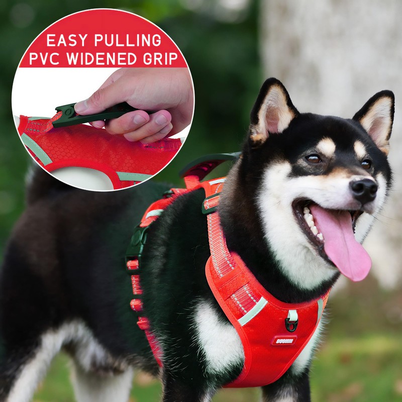 LAVAMOND Dog Harness No Pull Adjustable Reflective Soft Padded, Small