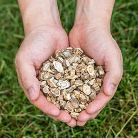 국산 건독활(땅두릅뿌리) 100g 독활 땅드릅 말린 건조 건 한방 차 국내산 Korean Dried Angelica Root (Ttangdurup Root) 100g Dried Herbal Tea Domestic Product