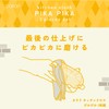 CBJAPAN Microfiber Cloth, 17.7 x 11.8 inches (45 x 30