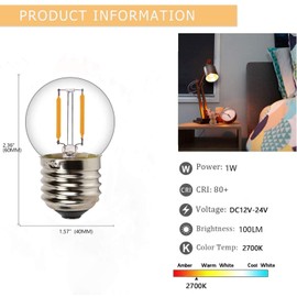 12 Volt Low Voltage LED Light Bulbs - Soft Warm 2700K 1W (Only for 12V -24V DC/AC)- 15W Equivalent E26 Edison Base Small Globe Bulb for RV, Landscape Lights, 6PCS