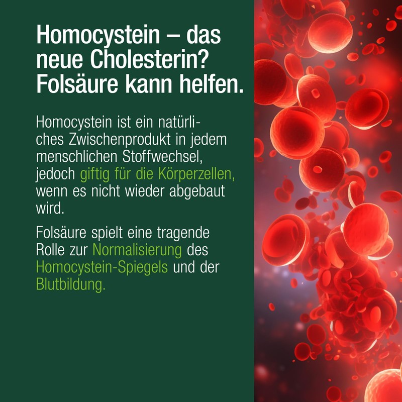 VITACTIV Folsäure 400µg - 270 Folsäure Tabletten (9 Monate) -