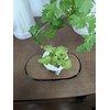 Grow Cubes for Hydroponic System/Compatible with Gardyn (20 Grow Cubes)