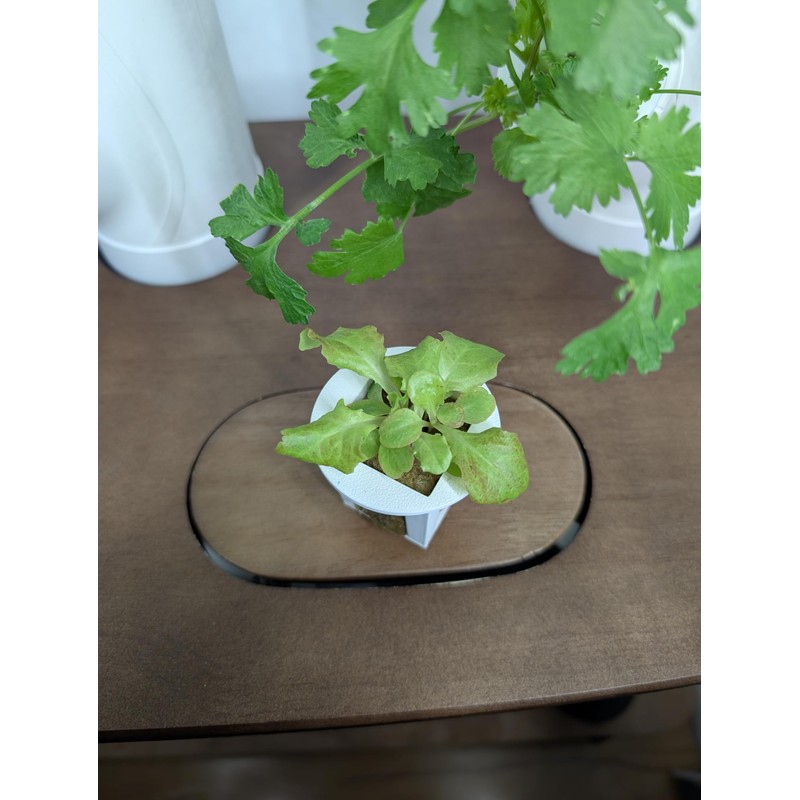 Grow Cubes for Hydroponic System/Compatible with Gardyn (20 Grow Cubes)