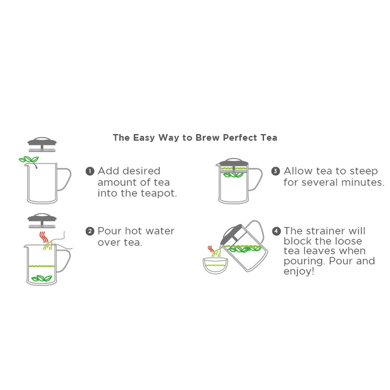 casaWare Double Wall Borosilicate Glass Tea pot with Strainer Lid