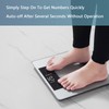 Vitafit Digital Bathroom Scale for Body Weight, High Accuracy Assured