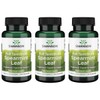 Swanson Swanson Spearmint Leaf (Mentha Spicata)-Full Spectrum Herbal Supplement Supporting