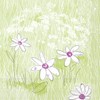 Mank Tissue Napkins, Perfect for Catering and Celebrations, Textile-like and