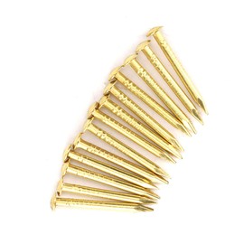 100Pcs Brass Wall Pins, Round Head Brass Brad Nails for Furniture Hinge Hardware Accessories (18mm Length)