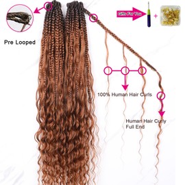 Crochet Boho Box Braids with Human Hair Curls Brown Curly Human Hair Boho Crochet Braids with Curly Ends Pre Looped Bohemian Crochet Braids for Black Women 24 Inch 2 Pack 80 Strands