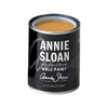 Annie Sloan Wall Paint (Carnaby Yellow, 4 Fl Oz Tester)