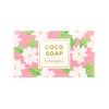 cocowell coco soap sun paguita