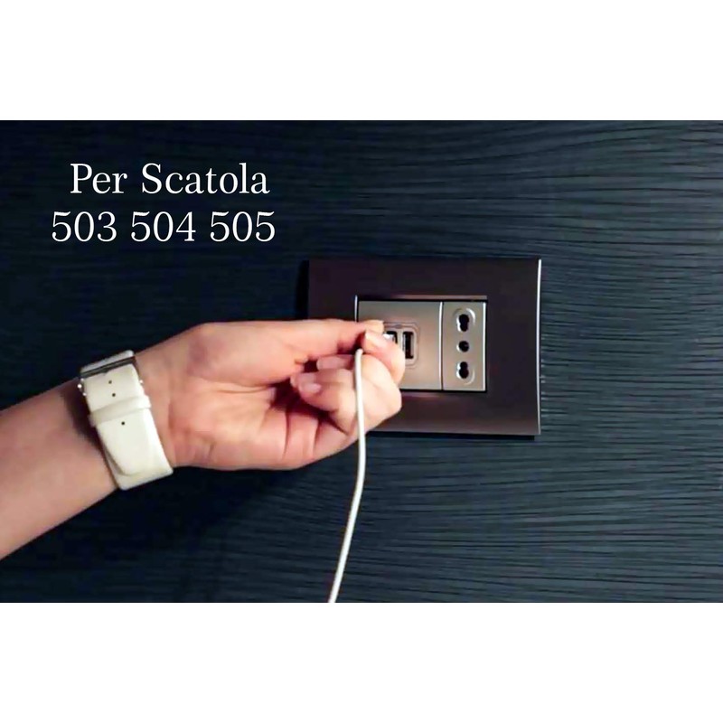 2 USB Charging Modules 5V 2.1A Compatible with Bticino Living