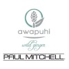 Paul Mitchell Acondicionador De Keratina Awapuhi Wild Ginger Keratin Cream