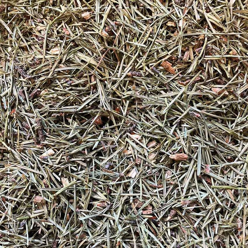 Pine Needle Tea - 100g - Whole Pine Needles -