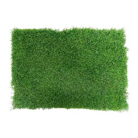 Gotta Go Grass for Reptiles - Natural Grass Bedding Mat & Resting Pad, Real Lawn Patch for Tortoises, Lizards, Snakes and Amphibians, Safe & Absorbent Reptile Substrate, 16" x 24" (Refill 1-Pack)