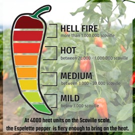 Gourmanity Piment d'Espelette Pepper Powder from Basque, France, Aromatic and Smokey with Mild Heat, Naturally Sun Dried Red Chili Seasoning for Mexican, Thai, Indian Food & More, AOP Classified, Non-GMO, 8.8 oz bag