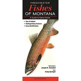Freshwater Fishes of Montana