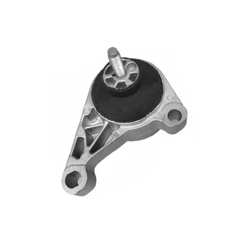 ONNURI Compatible with 2002-2003 Ford Focus SVT 2.0L Engine Motor
