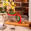 Insert Bug Viewer for Kids, 4PCS Magnifying Insect Box Bug