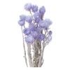 Earth Farms Dry Flower minisiruba-de-zi- Insert (G) Light Purple do32001