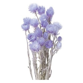 Earth Farms Dry Flower minisiruba-de-zi- Insert (G) Light Purple do32001 – 410