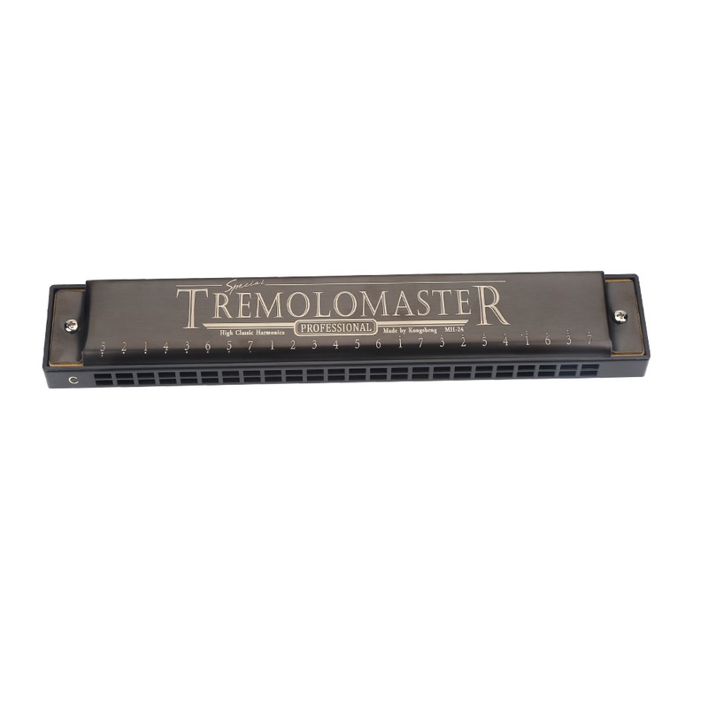 24 Holes 12 Tone C Key Harmonica Mouth Organ Musical