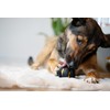 Zeus Chewchasers Ball Shaped Dog Toy, Treat Dispensing Toy, Black,