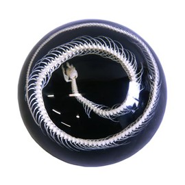 REALBUG Snake sketelon Dome