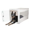 Sport Pet Large Pop-Crate