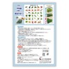 Vegetable Freshness Storage Bags, Set of 10, Reusable Eco Storage