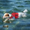 Queenmore Dog Life Jacket Medium,Dog Flotation Vest for Medium Dogs,Ripstop