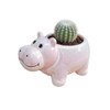 Cuteforyou Succulent Pots,Cute Animal Shaped Cartoon Ceramic Succulent Cactus Flower