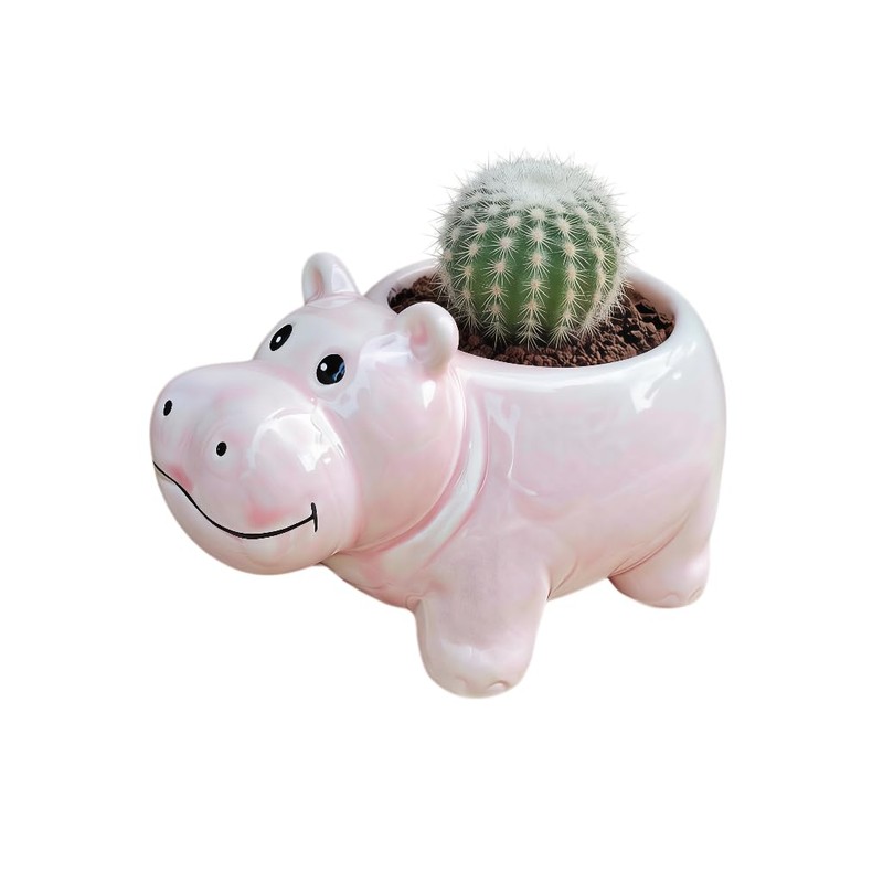 Cuteforyou Succulent Pots,Cute Animal Shaped Cartoon Ceramic Succulent Cactus Flower
