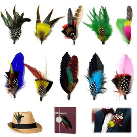 Hat Feathers, 10 Pcs Assorted Feather Packs Accessories for Fedora for Fedora Hats Colorful Real Feathers for DIY Craft, Christmas Decorations Men Women Oktoberfest Hats