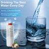 AIZGUOGL Compatible with 51600C1PC Filter, Replace for Elkay Water Filter