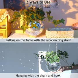 Tialero 2Pcs Disco Ball Planter, 6"/8" Disco Planter with Hanging Chain & Hook & Ring Stand, Disco Ball Plant Hangers for Indoor and Outdoor Plants, Hanging Plant Holder (2Pcs 6", Silver)