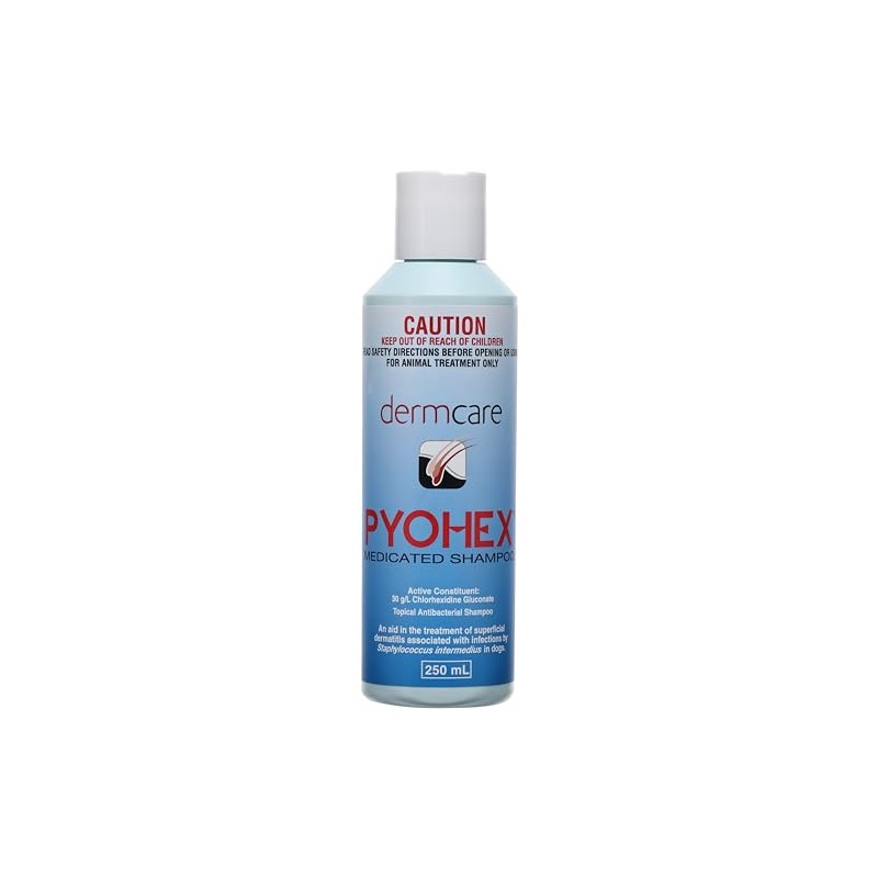 Dermcare Pyohex Shampoo 250Ml